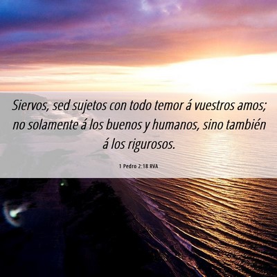 Picture 06 - 1 Pedro 2:18 RVA - Siervos, sed sujetos con todo temor á vuestros - Bible Verse Picture