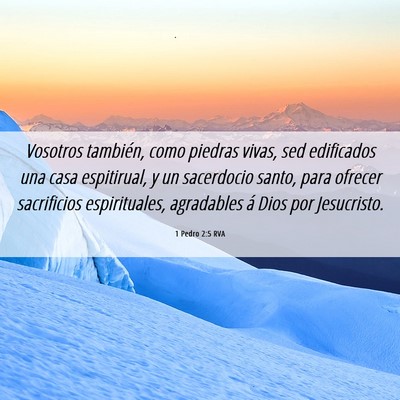 Picture 06 - 1 Pedro 2:5 RVA - Vosotros también, como piedras vivas, sed - Bible Verse Picture