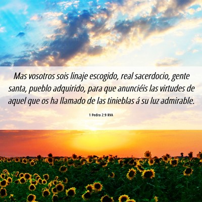 Picture 06 - 1 Pedro 2:9 RVA - Mas vosotros sois linaje escogido, real - Bible Verse Picture