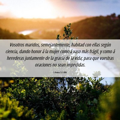 Picture 06 - 1 Pedro 3:7 RVA - Vosotros maridos, semejantemente, habitad con - Bible Verse Picture