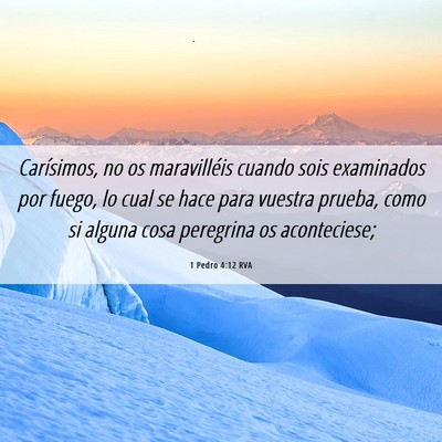 Picture 06 - 1 Pedro 4:12 RVA - Carísimos, no os maravilléis cuando sois - Bible Verse Picture