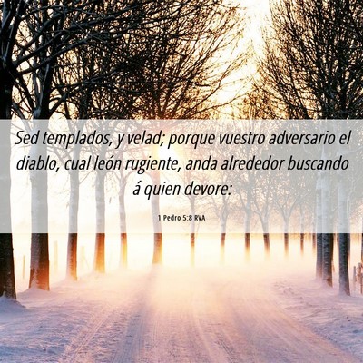 Picture 06 - 1 Pedro 5:8 RVA - Sed templados, y velad; porque vuestro adversario - Bible Verse Picture