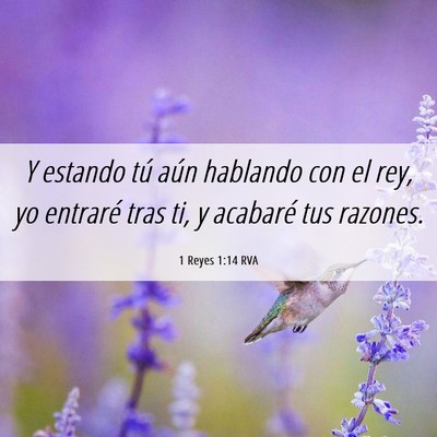 Picture 06 - 1 Reyes 1:14 RVA - Y estando tú aún hablando con el rey, yo - Bible Verse Picture