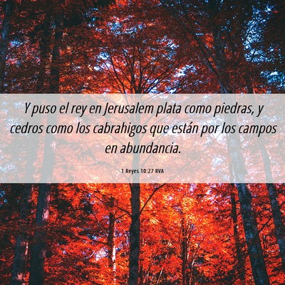 Picture 06 - 1 Reyes 10:27 RVA - Y puso el rey en Jerusalem plata como piedras, y - Bible Verse Picture