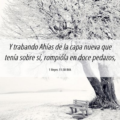 Picture 06 - 1 Reyes 11:30 RVA - Y trabando Ahías de la capa nueva que tenía - Bible Verse Picture