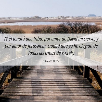Picture 06 - 1 Reyes 11:32 RVA - (Y él tendrá una tribu, por amor de David mi - Bible Verse Picture