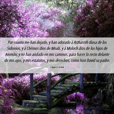 Picture 06 - 1 Reyes 11:33 RVA - Por cuanto me han dejado, y han adorado á - Bible Verse Picture