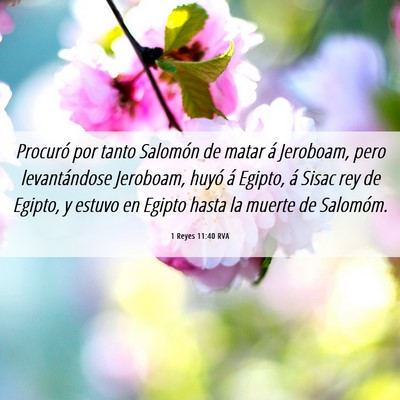 Picture 06 - 1 Reyes 11:40 RVA - Procuró por tanto Salomón de matar á Jeroboam, - Bible Verse Picture