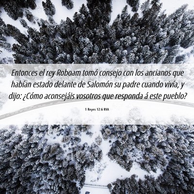 Picture 06 - 1 Reyes 12:6 RVA - Entonces el rey Roboam tomó consejo con los - Bible Verse Picture