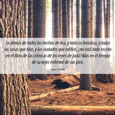 Picture 06 - 1 Reyes 15:23 RVA - Lo demás de todos los hechos de Asa, y toda su - Bible Verse Picture