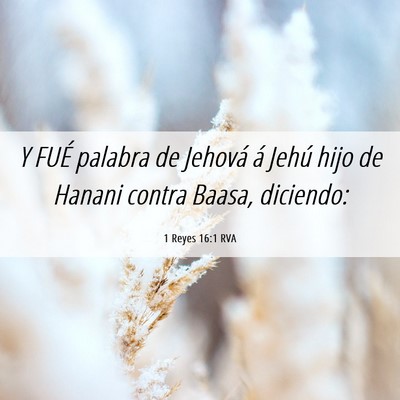 Picture 06 - 1 Reyes 16:1 RVA - Y FUÉ palabra de Jehová á Jehú hijo de Hanani - Bible Verse Picture