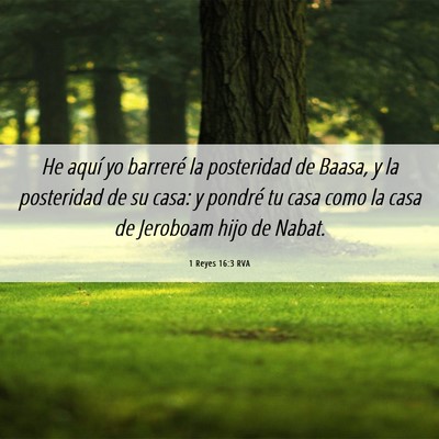 Picture 06 - 1 Reyes 16:3 RVA - He aquí yo barreré la posteridad de Baasa, y la - Bible Verse Picture