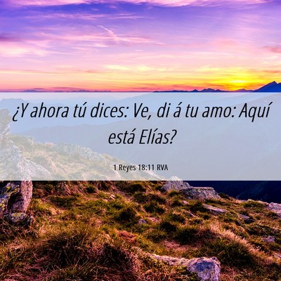 Picture 06 - 1 Reyes 18:11 RVA - ¿Y ahora tú dices: Ve, di á tu amo: Aquí - Bible Verse Picture