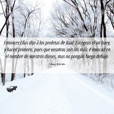 Picture 06 - 1 Reyes 18:25 RVA - Entonces Elías dijo á los profetas de Baal: - Bible Verse Picture