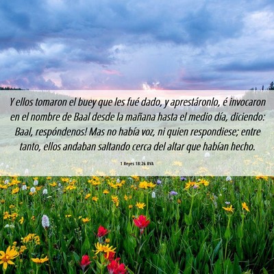 Picture 06 - 1 Reyes 18:26 RVA - Y ellos tomaron el buey que les fué dado, y - Bible Verse Picture