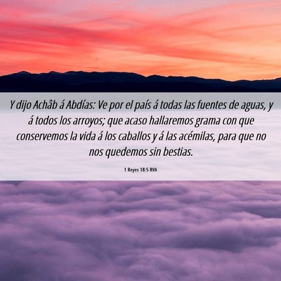 Picture 06 - 1 Reyes 18:5 RVA - Y dijo Achâb á Abdías: Ve por el país á - Bible Verse Picture