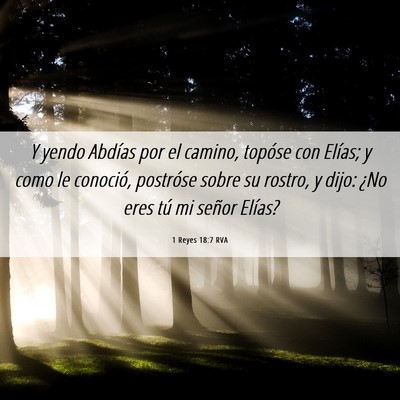 Picture 06 - 1 Reyes 18:7 RVA - Y yendo Abdías por el camino, topóse con - Bible Verse Picture