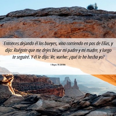 Picture 06 - 1 Reyes 19:20 RVA - Entonces dejando él los bueyes, vino corriendo - Bible Verse Picture