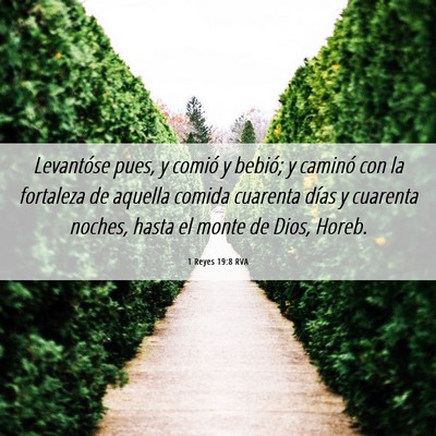 Picture 06 - 1 Reyes 19:8 RVA - Levantóse pues, y comió y bebió; y caminó con - Bible Verse Picture