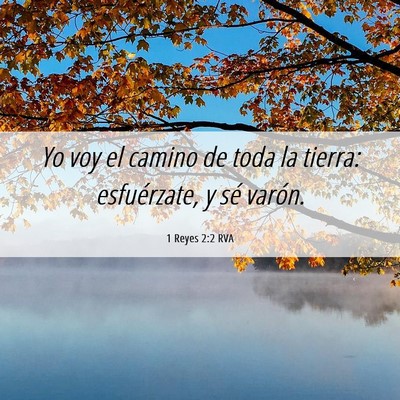 Picture 06 - 1 Reyes 2:2 RVA - Yo voy el camino de toda la tierra: esfuérzate, - Bible Verse Picture