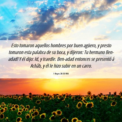Picture 06 - 1 Reyes 20:33 RVA - Esto tomaron aquellos hombres por buen agüero, y - Bible Verse Picture