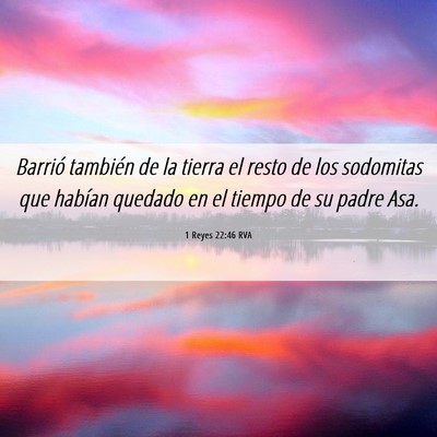 Picture 06 - 1 Reyes 22:46 RVA - Barrió también de la tierra el resto de los - Bible Verse Picture