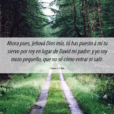Picture 06 - 1 Reyes 3:7 RVA - Ahora pues, Jehová Dios mío, tú has puesto á - Bible Verse Picture