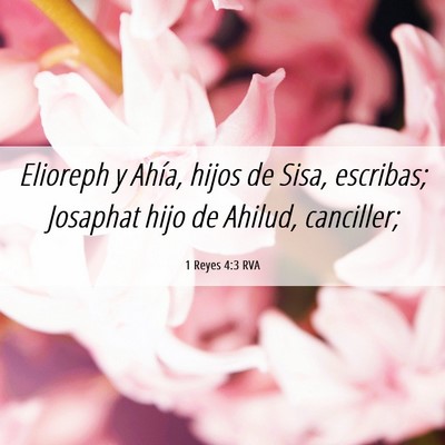 Picture 06 - 1 Reyes 4:3 RVA - Elioreph y Ahía, hijos de Sisa, escribas; - Bible Verse Picture