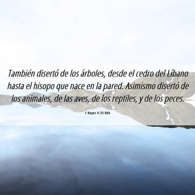 Picture 06 - 1 Reyes 4:33 RVA - También disertó de los árboles, desde el cedro - Bible Verse Picture