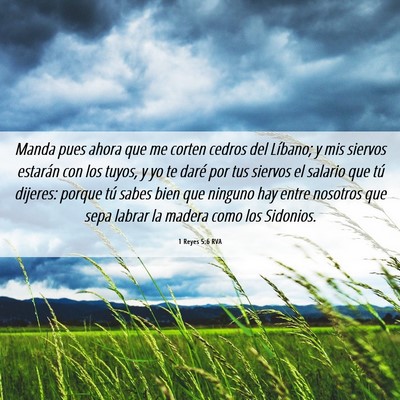 Picture 06 - 1 Reyes 5:6 RVA - Manda pues ahora que me corten cedros del - Bible Verse Picture