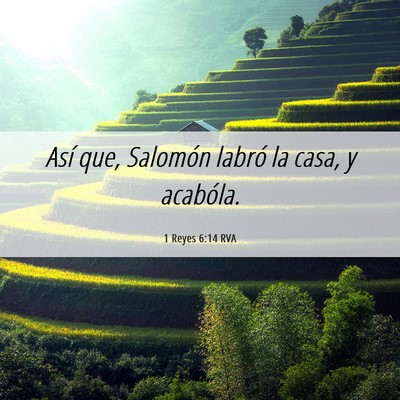 Picture 06 - 1 Reyes 6:14 RVA - Así que, Salomón labró la casa, y - Bible Verse Picture