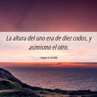 Picture 06 - 1 Reyes 6:26 RVA - La altura del uno era de diez codos, y asimismo - Bible Verse Picture