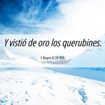 Picture 06 - 1 Reyes 6:28 RVA - Y vistió de oro los - Bible Verse Picture