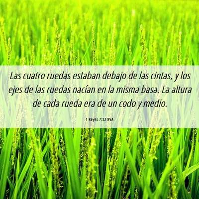 Picture 06 - 1 Reyes 7:32 RVA - Las cuatro ruedas estaban debajo de las cintas, y - Bible Verse Picture