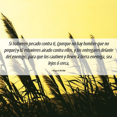 Picture 06 - 1 Reyes 8:46 RVA - Si hubieren pecado contra ti, (porque no hay - Bible Verse Picture