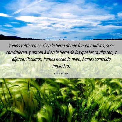 Picture 06 - 1 Reyes 8:47 RVA - Y ellos volvieren en sí en la tierra donde - Bible Verse Picture