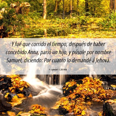 Picture 06 - 1 Samuel 1:20 RVA - Y fué que corrido el tiempo, después de haber - Bible Verse Picture