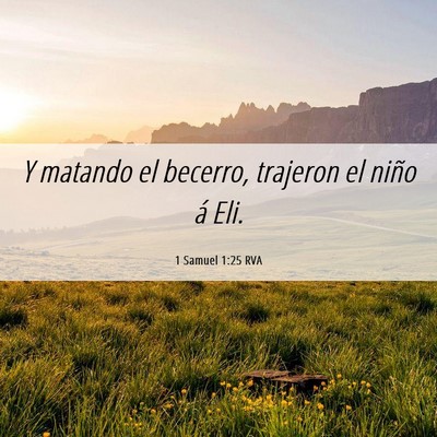 Picture 06 - 1 Samuel 1:25 RVA - Y matando el becerro, trajeron el niño á - Bible Verse Picture