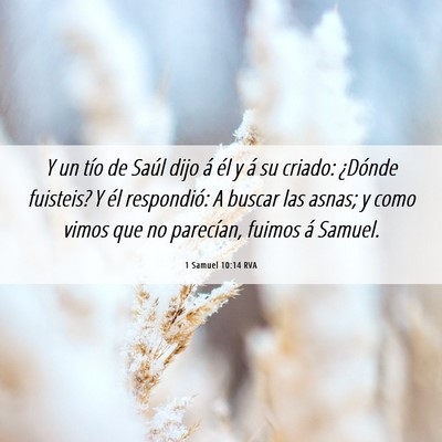 Picture 06 - 1 Samuel 10:14 RVA - Y un tío de Saúl dijo á él y á su criado: - Bible Verse Picture