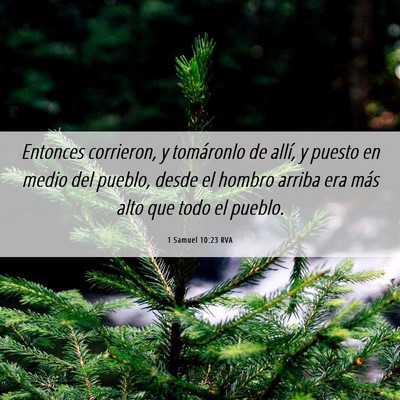 Picture 06 - 1 Samuel 10:23 RVA - Entonces corrieron, y tomáronlo de allí, y - Bible Verse Picture