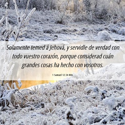 Picture 06 - 1 Samuel 12:24 RVA - Solamente temed á Jehová, y servidle de verdad - Bible Verse Picture