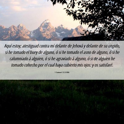 Picture 06 - 1 Samuel 12:3 RVA - Aquí estoy; atestiguad contra mí delante de - Bible Verse Picture