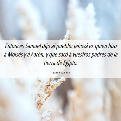 Picture 06 - 1 Samuel 12:6 RVA - Entonces Samuel dijo al pueblo: Jehová es quien - Bible Verse Picture