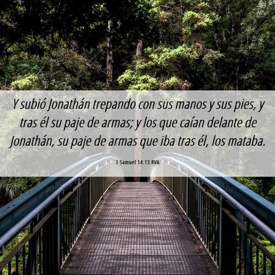 Picture 06 - 1 Samuel 14:13 RVA - Y subió Jonathán trepando con sus manos y sus - Bible Verse Picture