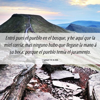 Picture 06 - 1 Samuel 14:26 RVA - Entró pues el pueblo en el bosque, y he aquí - Bible Verse Picture