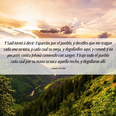 Picture 06 - 1 Samuel 14:34 RVA - Y Saúl tornó á decir: Esparcíos por el - Bible Verse Picture