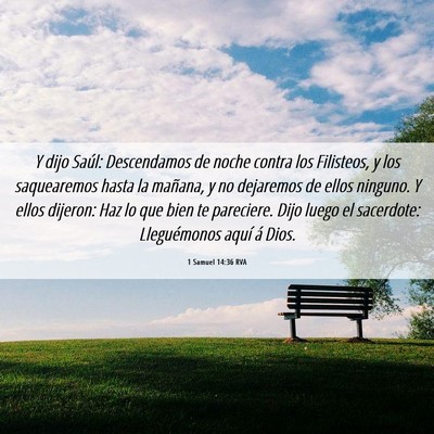 Picture 06 - 1 Samuel 14:36 RVA - Y dijo Saúl: Descendamos de noche contra los - Bible Verse Picture