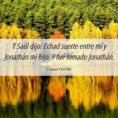 Picture 06 - 1 Samuel 14:42 RVA - Y Saúl dijo: Echad suerte entre mí y Jonathán - Bible Verse Picture