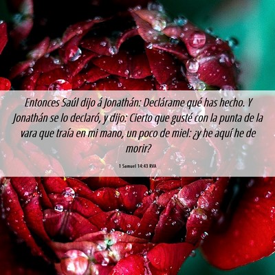Picture 06 - 1 Samuel 14:43 RVA - Entonces Saúl dijo á Jonathán: Declárame qué - Bible Verse Picture