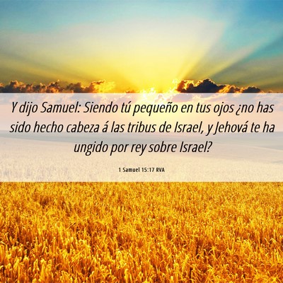Picture 06 - 1 Samuel 15:17 RVA - Y dijo Samuel: Siendo tú pequeño en tus ojos - Bible Verse Picture